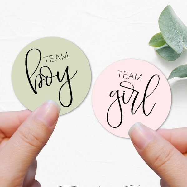 Green and blush gender reveal stickers, olive and pink baby stickers, olive and blush gender reveal party, green and pink baby shower - B5