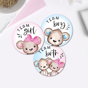 Teddy bear twins gender reveal stickers, twins bear stickers for Baby Shower, Bear decoration for baby shower for twin babies - B14T