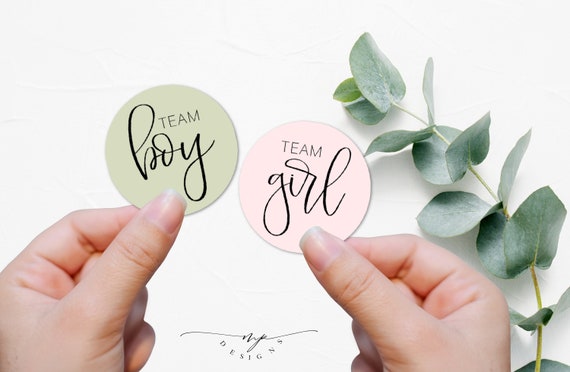 6 Feuilles De Stickers Révélation De Sexe - 4 Cm - Bleu/rose - Team Garçon/Fille - 120 Pièces - Baby Shower