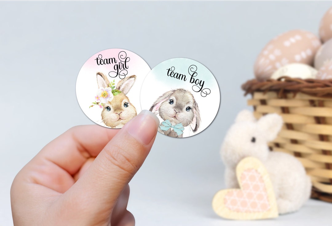 Easter Bunny Gender Reveal Stickers, Baby Bunny Stickers, Easter Baby