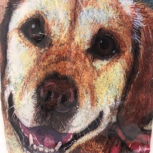 May include: Close-up of a smiling dog's face, with brown and tan fur, dark eyes, and a red collar. The dog's mouth is open, showing teeth and a pink tongue. The background is a mix of blue and yellow.