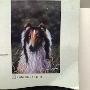 Puede incluir: Una pintura detallada de un perro Collie en un campo de hierba alta. El perro tiene un pelaje marrón y blanco con pelo largo y fluido. La imagen está etiquetada como "FCM-063 COLLIE".