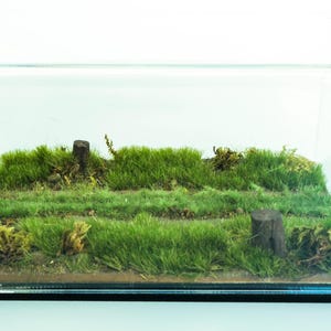 1/43 and 1/64 Diorama Forest Road&Display Case For Diecast !! Cars are NOT INCLUDED!!