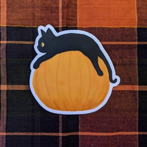 Pumpkin cat