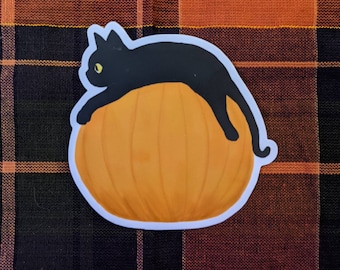 Pumpkin cat