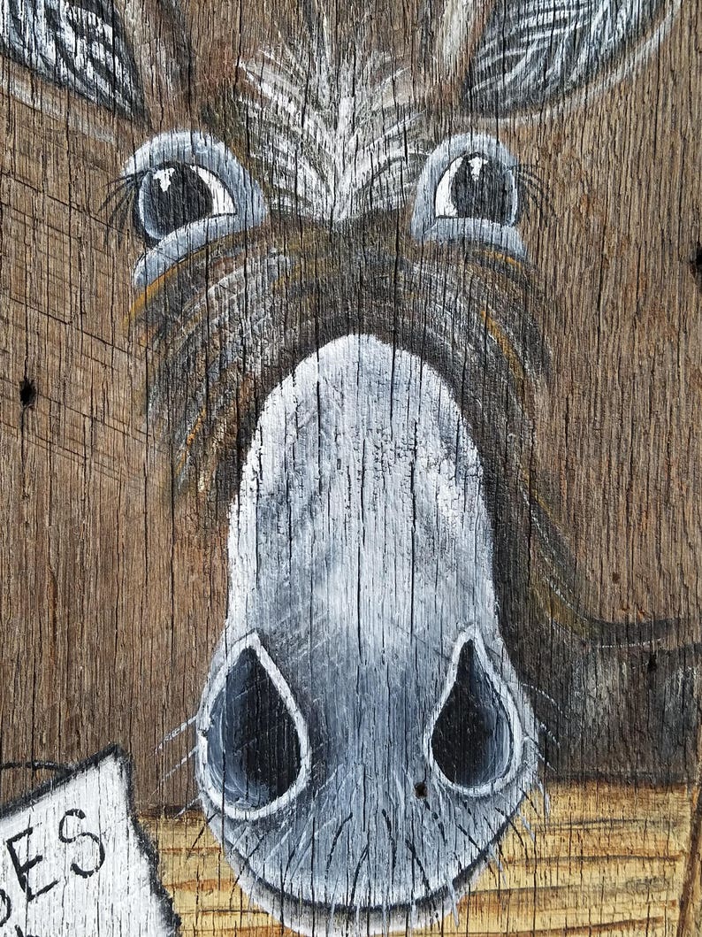 Donkey Painted on Barn Wood Etsy