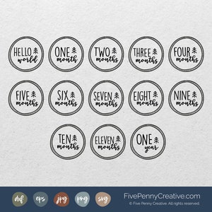 Woodland Baby Milestones SVG (JPG, PNG, eps, Cricut, snijbestand, vectorbestand) | 1-12 maanden | eerste jaar | babystrijkijzer | babymaanden