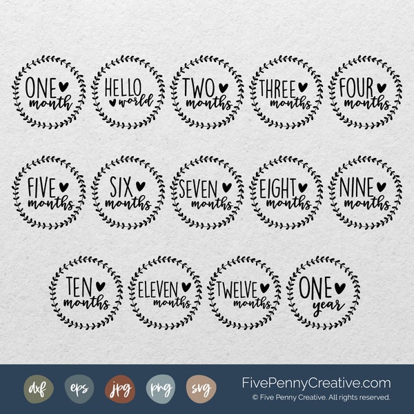 Baby Milestones SVG (JPG, PNG, eps, Cricut, Silhouette, cutting file, vector file), baby first year, baby iron on, monthly milestones svg