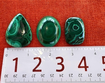Large 3 Malachite Cabachon (Lot A)