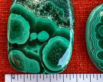 Large 3 Malachite Cabachon (Lot B)