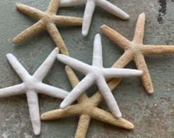 Fake starfish pack of 3 Resin sea star cruelty free sea life wedding favor coastal beach themed party decoration ornament