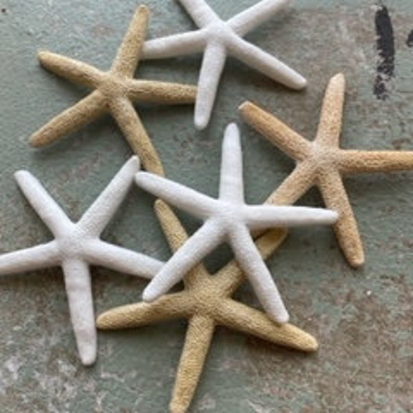 Fake starfish pack of 3 Resin sea star cruelty free sea life wedding favor coastal beach themed party decoration ornament