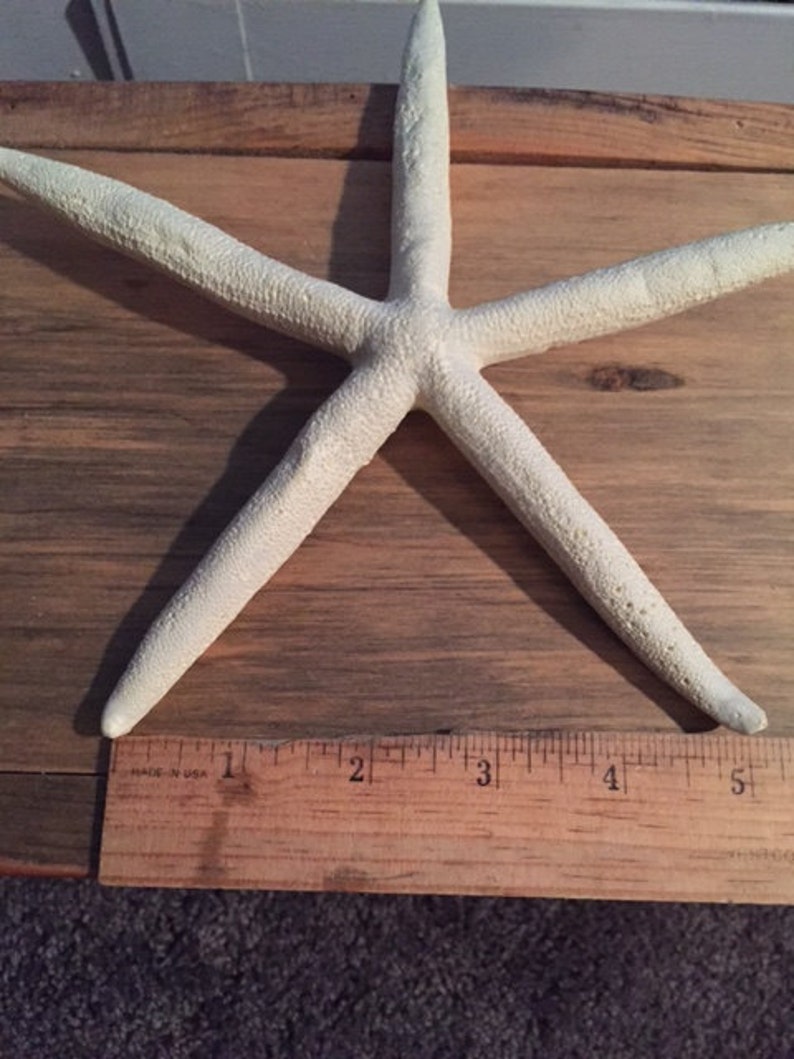 Large Starfish resin sea star cruelty free sea life wedding favor coastal sea star beach themed party decoration ornament image 2