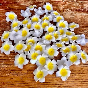 Luau Hawaii-Blumen Gefälschte Plumeria Lot von 20 kleine Frangipani Schaumstoff-Köpfe 2 "Strandhochzeit Hawaii-Kuchen Partydekorationen