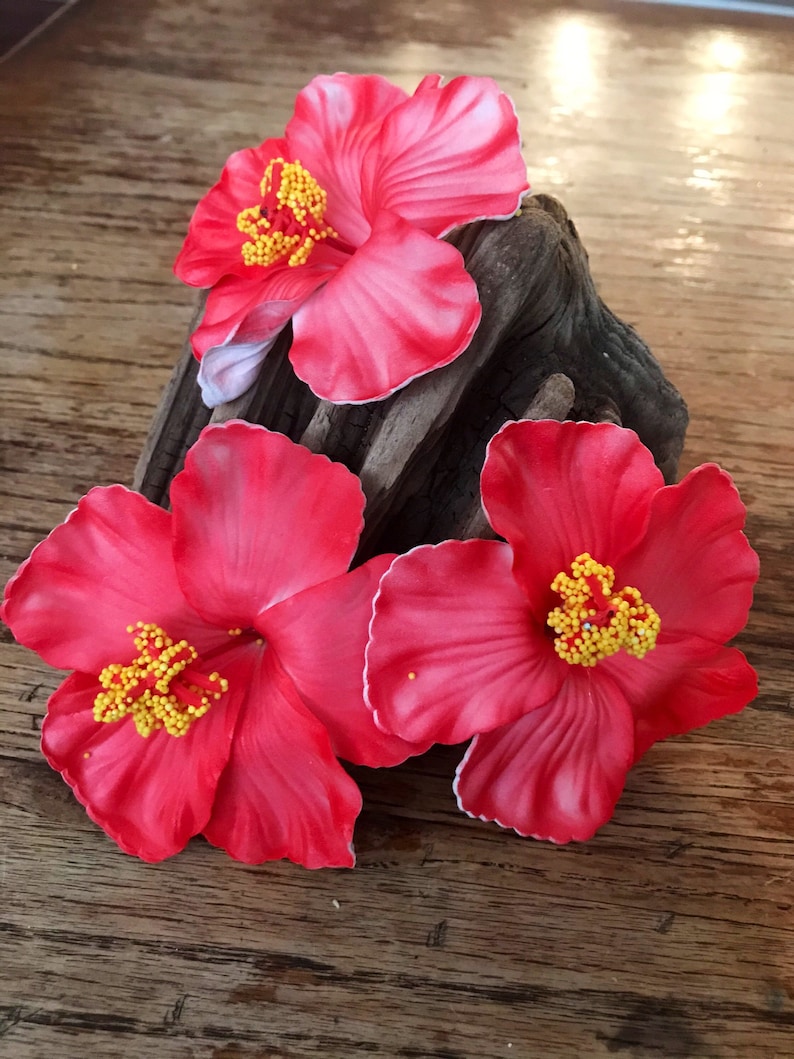 Hibiscus Hawaiian Flower Heads Artificial Foam Beach Luau Etsy