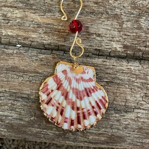 Scallop Sea Shell Ornament Coastal Christmas Hanging Ornaments