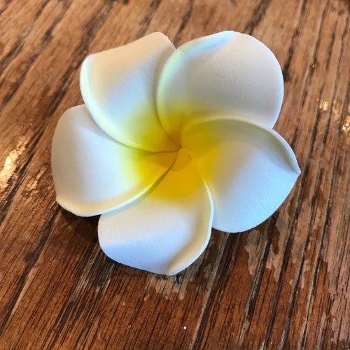 Hawaiian Flowers Fake Plumeria Lot of 10 Foam 3/7cm Etsy