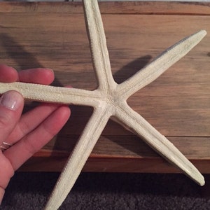 Large Starfish resin sea star cruelty free sea life wedding favor coastal sea star beach themed party decoration ornament image 3