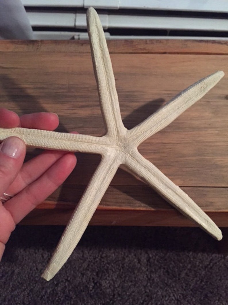 Large Starfish resin sea star cruelty free sea life wedding favor coastal sea star beach themed party decoration ornament image 3