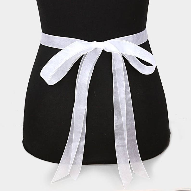 stylish belt for gown