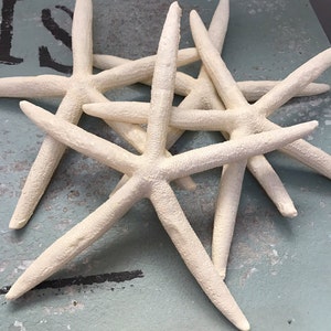 Large Starfish resin sea star cruelty free sea life wedding favor coastal sea star beach themed party decoration ornament image 1