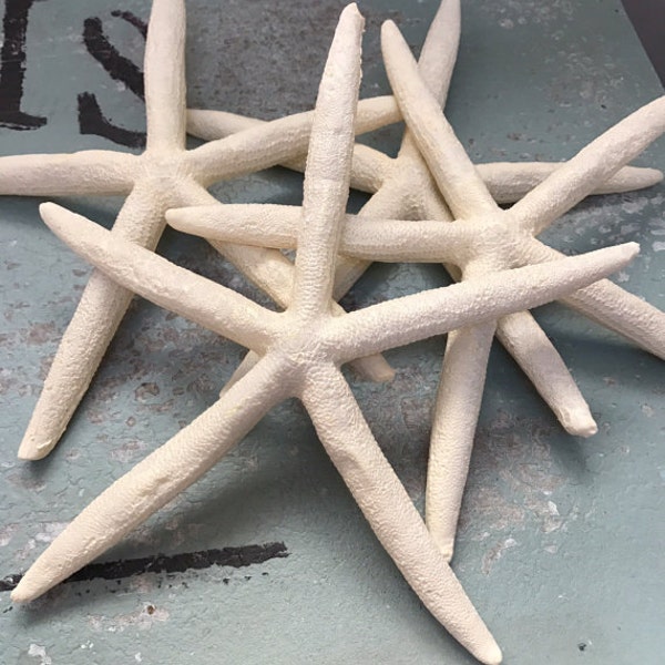 Large Starfish resin sea star cruelty free sea life wedding favor coastal sea star beach themed party decoration ornament