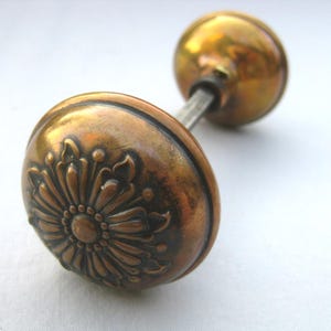 May include: A round, antique-style brass door knob featuring a raised, symmetrical floral pattern on its face. The metal has a warm, weathered patina with darker recessed areas. A thin, metallic spindle connects it to a smaller, plain back plate.