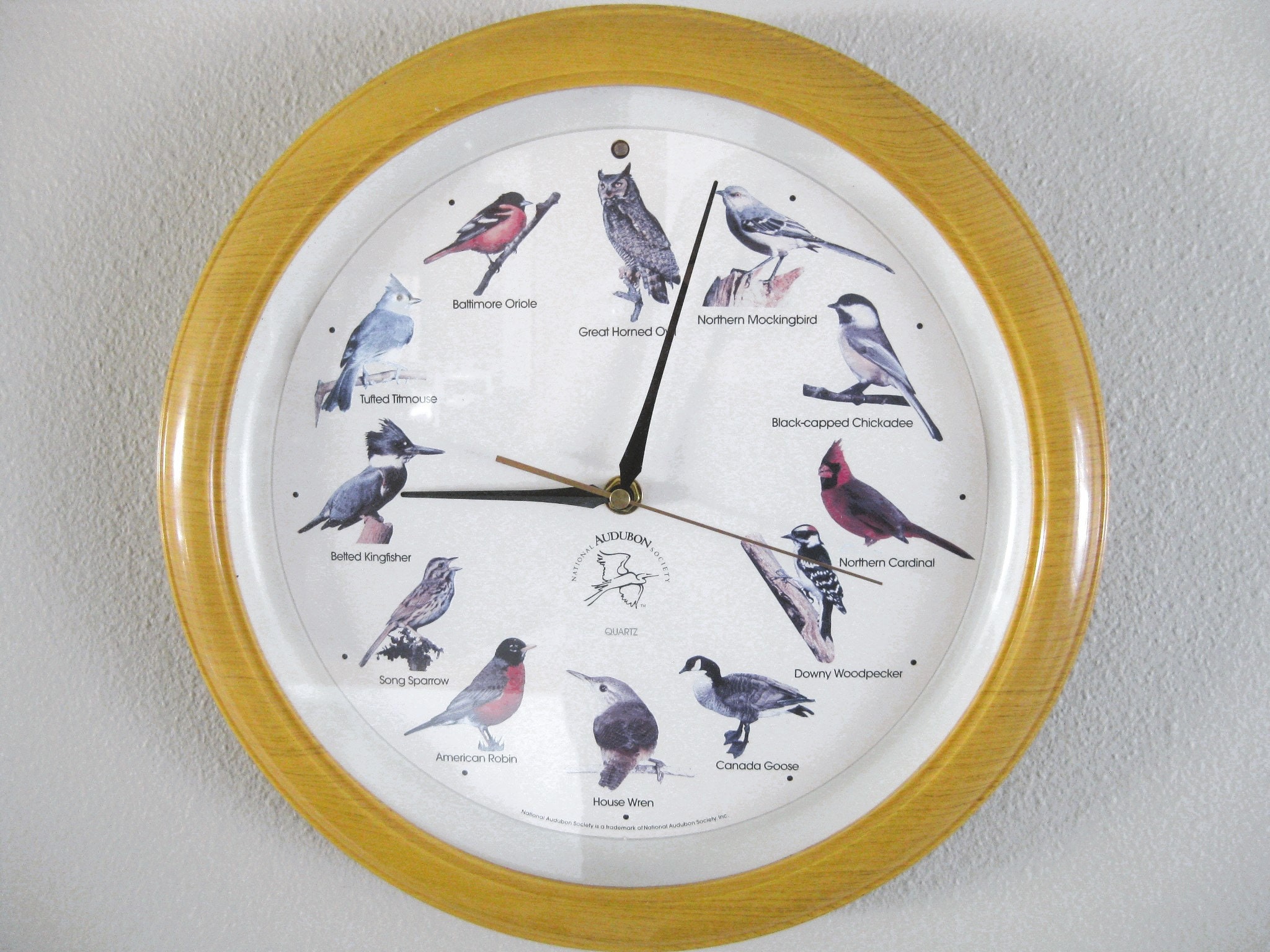 Decorative Outdoor Singing Bird Clock Thermometer, Singing Bird