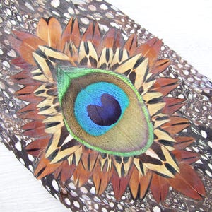 May include: A decorative feather arrangement featuring a central peacock eye feather surrounded by layers of pointed brown and tan feathers, all set against a background of dark brown feathers with white spots, creating a layered, textured design.