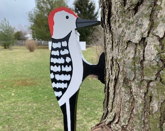 Woodpecker on Tree