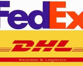 Actualización de envío exprés, envío acelerado Fedex DHL UPS