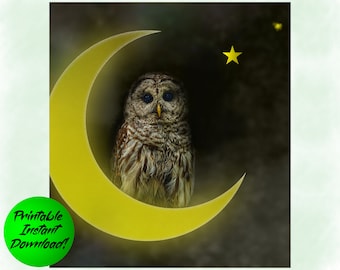 Printable owl art wall decor, crescent moon printable wall art, owl print, owl nursery wall art, bird wall decor,  instant download moon art