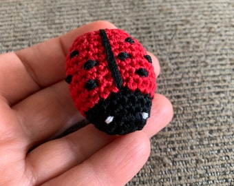 Crochet mini ladybug (not pattern) finished product