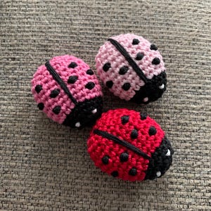 Crochet mini ladybug (not pattern) finished product