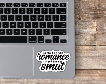 Came for the romance, Sticker, Vinyl, Water resistant, Gifts for Her, Smut, Gifts for Him, Reader, Bibliophile