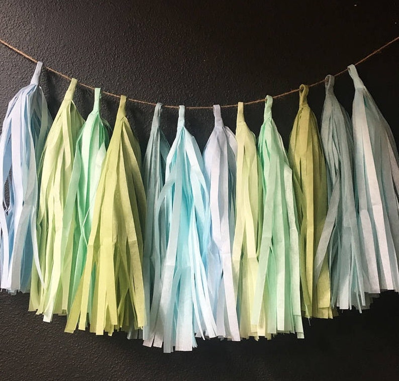 Pastel Blue and Green tassel fringe garland wedding photo backdrop first boy birthday party bridal baby shower bar mitzvah sage baby blue
