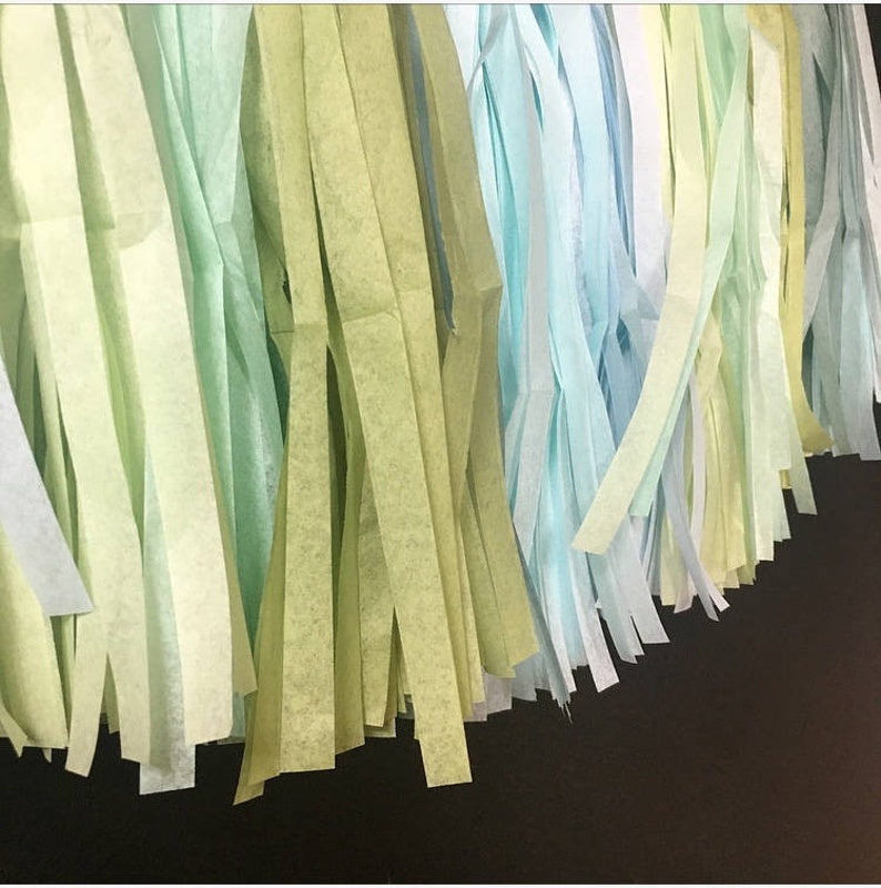 Pastel Blue and Green tassel fringe garland wedding photo backdrop first boy birthday party bridal baby shower bar mitzvah sage baby blue