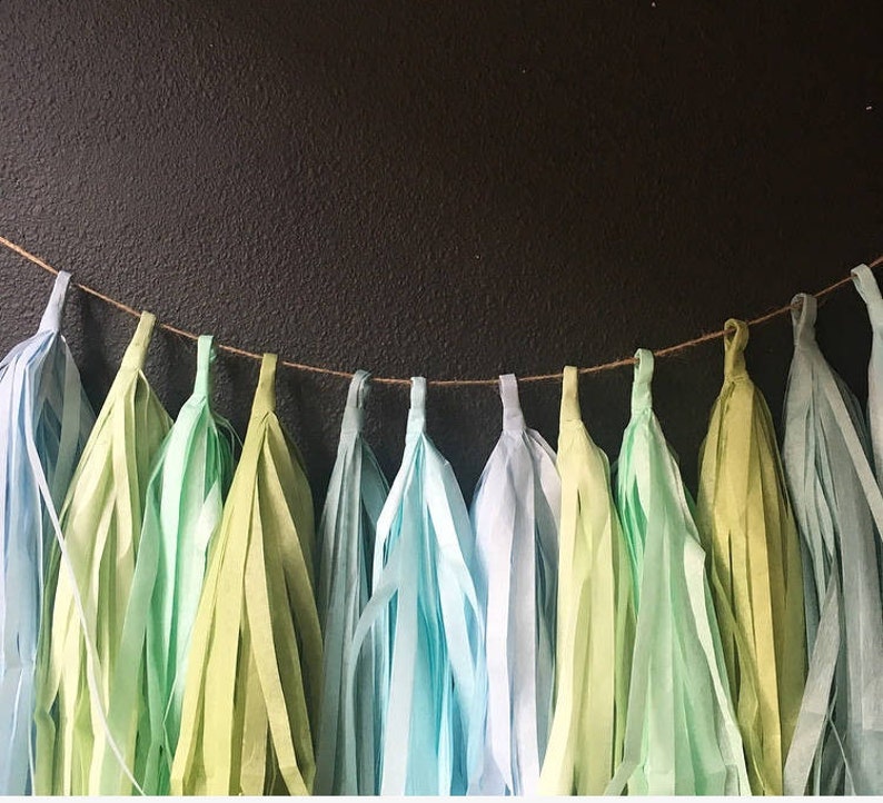 Pastel Blue and Green tassel fringe garland wedding photo backdrop first boy birthday party bridal baby shower bar mitzvah sage baby blue