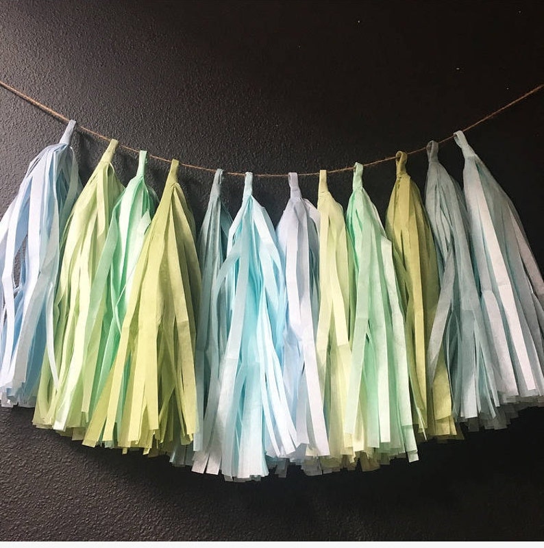 Pastel Blue and Green tassel fringe garland wedding photo backdrop first boy birthday party bridal baby shower bar mitzvah sage baby blue