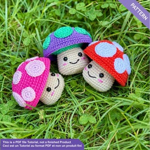 Crochet pattern mushroom, Crochet pattern, PDF Files English and French