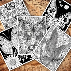 Beautiful Butterfly Flower Adult Coloring Book Pages 24 pack