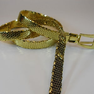 Può includere: Una cintura a catena dorata con una fibbia semplice. La cintura è realizzata in una rete metallica intrecciata.