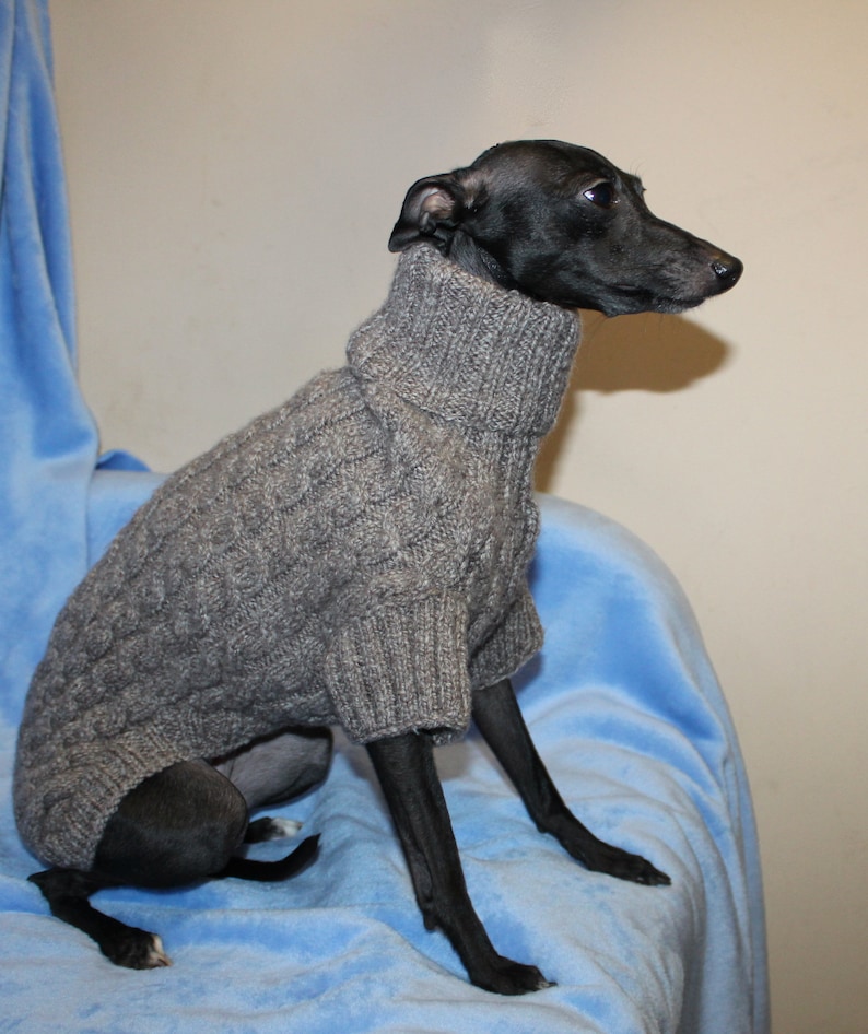 Wool Italian Greyhound sweater. Italian Greyhound clothing Etsy