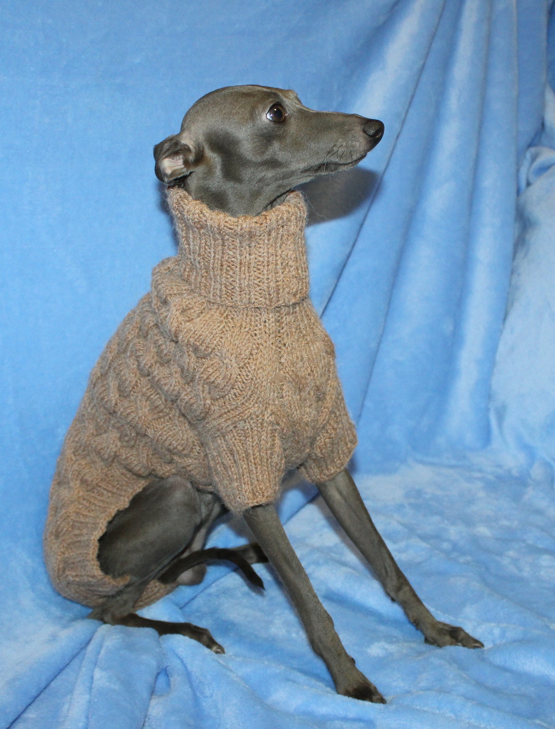 Wool Italian Greyhound sweater. Italian Greyhound clothing | Etsy