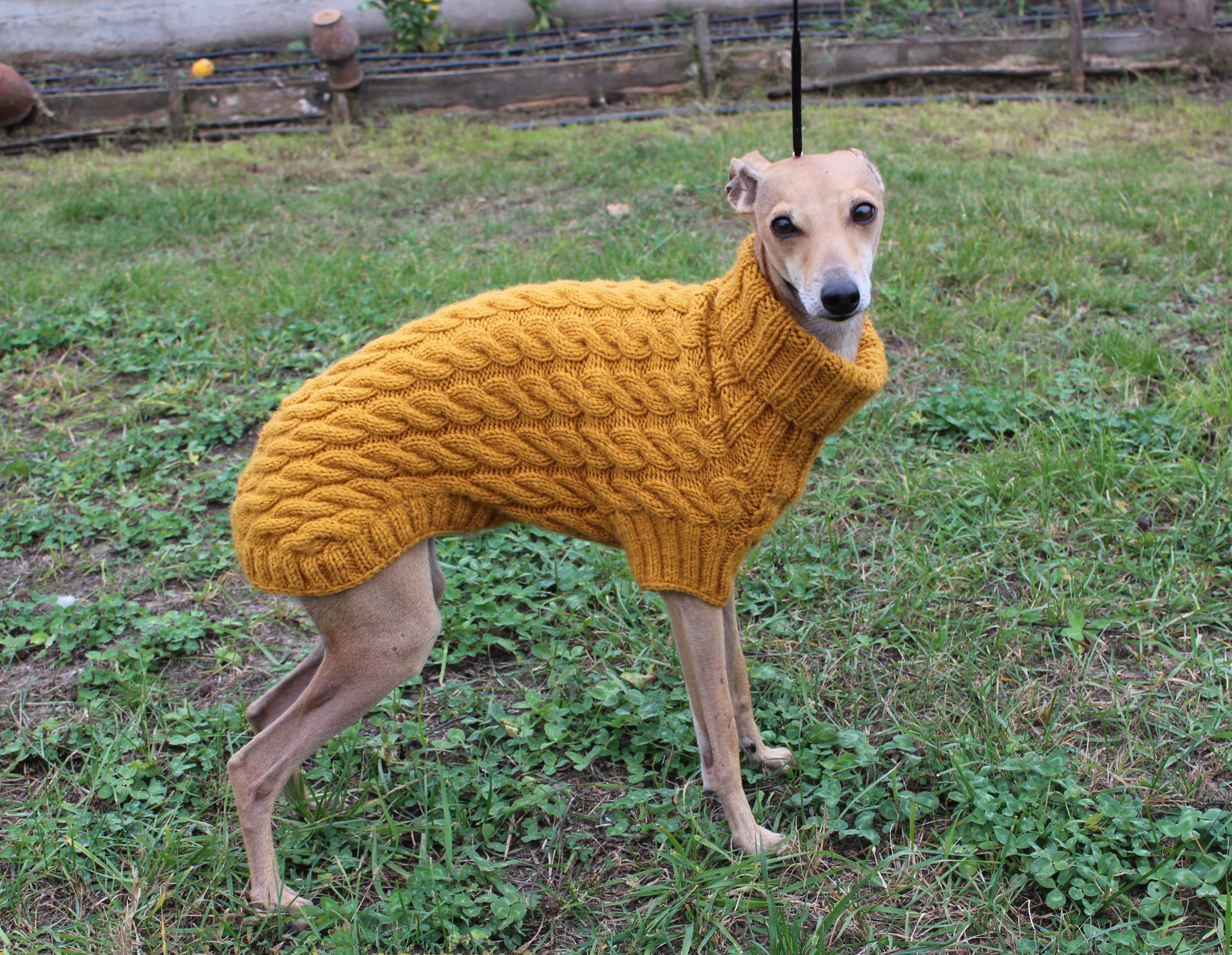 Wool Italian Greyhound sweater. Italian Greyhound clothing Etsy