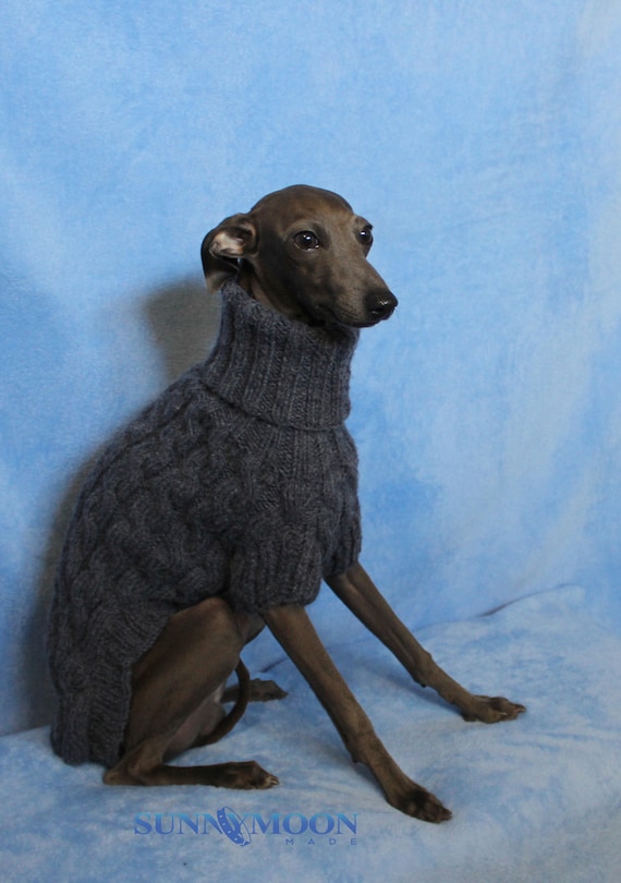 Italian greyhound sweater Clearance
