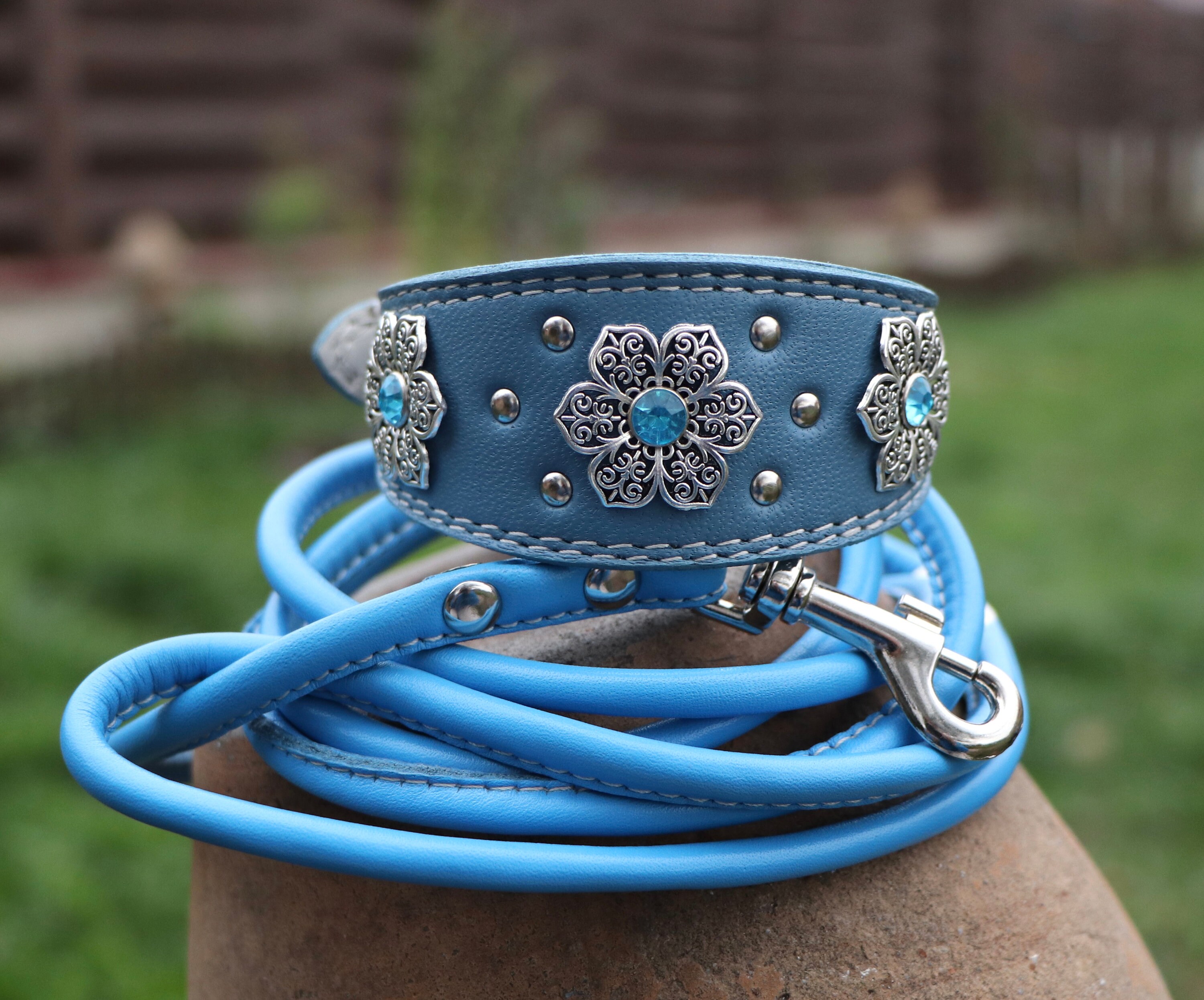 Leather Italian Greyhound collar Sighthound collar Whippet Etsy