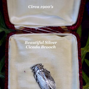 c1900s Silver Cicada Brooch, Realistic Fly Bug Jewelry Pendant, Insect Lover Gift for Her or Him