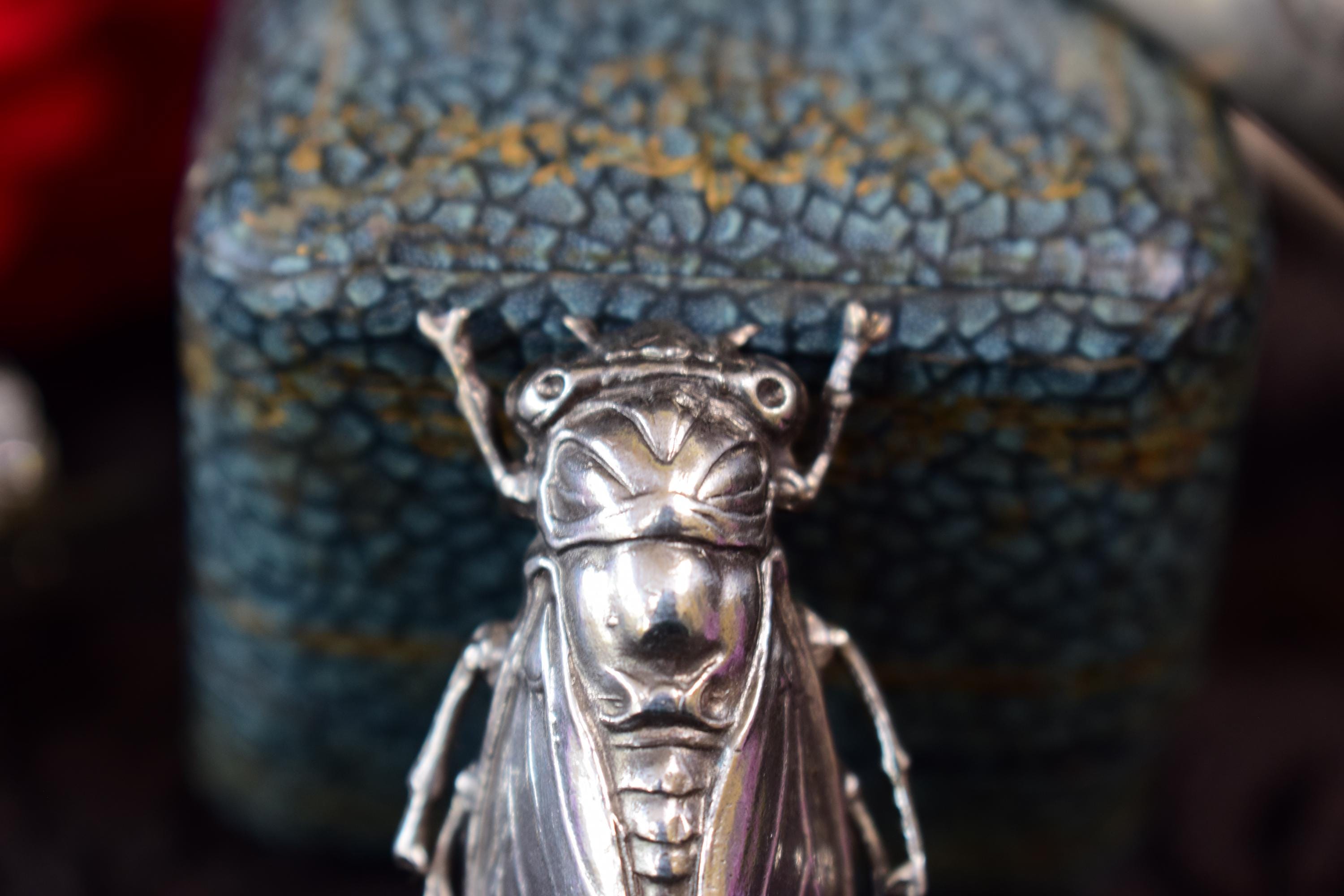 Broche Vintage En Forme De Cigale - Métal Argenté, Thème Insectes, Occasion
