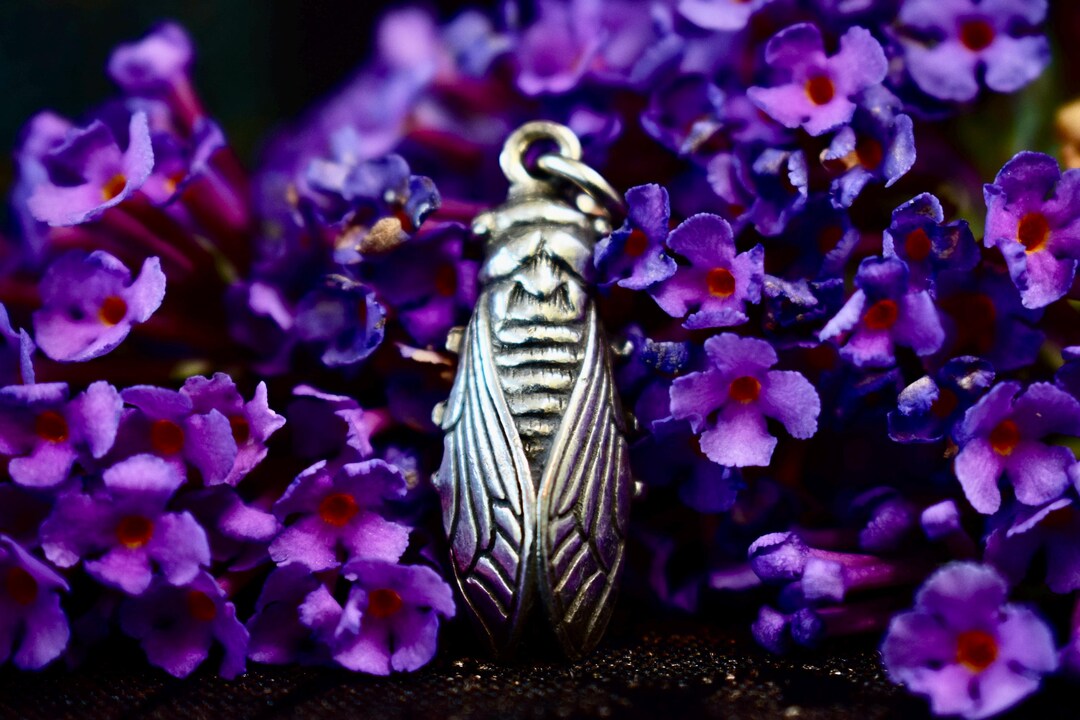 Flying Insect Pendent Silver Cicada Pendant, Realistic Fly Bug Jewelry Charm, Insect Lover ...